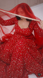 Anarkali Gown Set